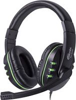 Наушники Ritmix RH-555M