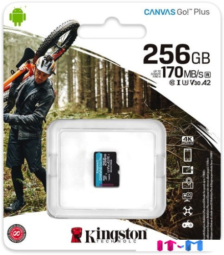 Карта памяти Kingston Canvas Go! Plus microSDXC 256GB фото 3