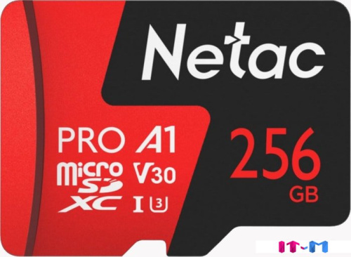 Карта памяти Netac P500 Extreme Pro 256GB NT02P500PRO-256G-S фото 2