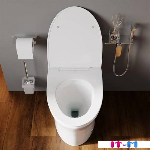 Унитаз IDDIS Pulse PULIDSEi26 фото 4