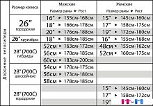 Велосипед Stinger Gravix Evo 58см 2023