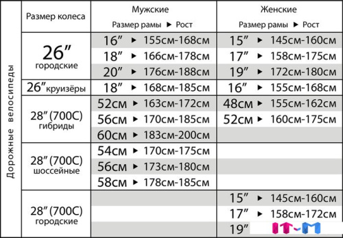 Велосипед Stinger Gravix Evo 58см 2023