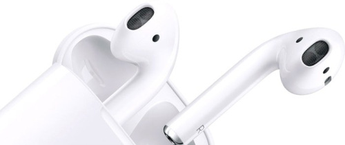 Наушники Apple AirPods 2 в зарядном футляре фото 2