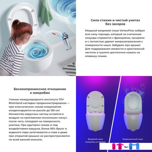 Унитаз подвесной Wellsee Chalice Perfection RimFree 182608001 (чаша, пневмокрышка, матовый белый) фото 4