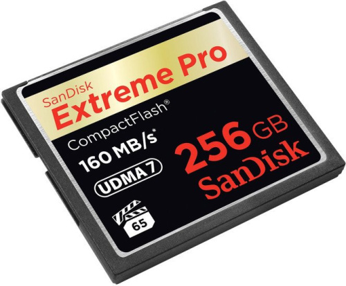 Карта памяти SanDisk Extreme Pro CompactFlash 256GB [SDCFXPS-256G-X46] фото 2