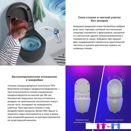 Унитаз подвесной Wellsee Chalice Perfection RimFree 182609001 (чаша, пневмокрышка, матовый черный) фото 4