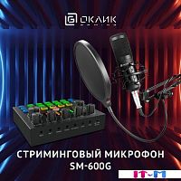 Проводной микрофон Oklick SM-600G