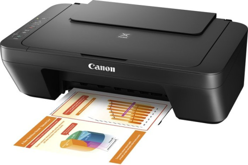 МФУ Canon PIXMA MG2540S фото 2