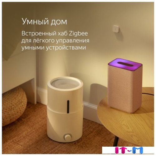 Умная колонка Яндекс Станция 2 (медный) фото 4