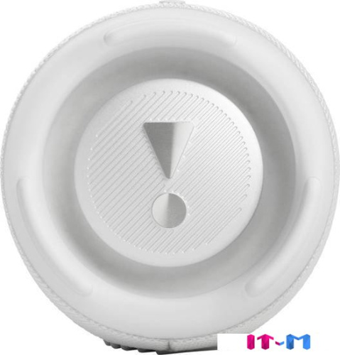 Беспроводная колонка JBL Charge 5 (белый) фото 2