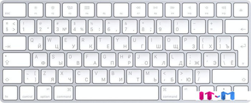 Клавиатура Apple Magic Keyboard [MLA22RU/A] фото 2