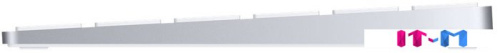 Клавиатура Apple Magic Keyboard [MLA22RU/A] фото 3