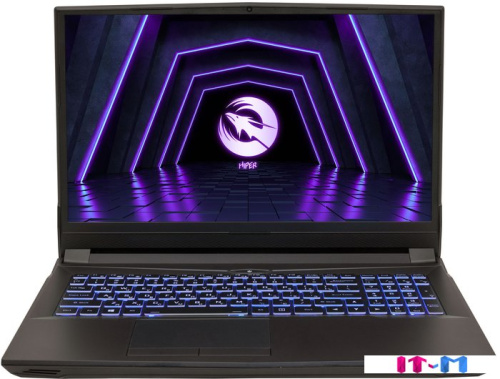 Игровой ноутбук Hiper Gaming G16 G16RTX3070B10400LX фото 3