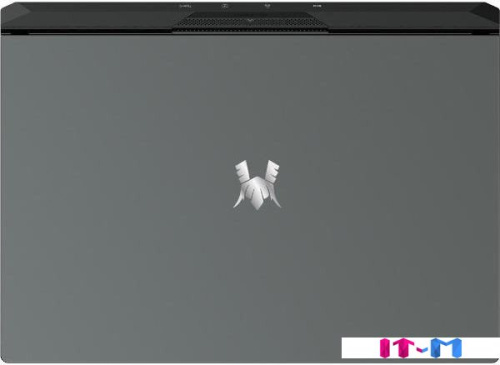 Игровой ноутбук IRBIS 15NBC1011 фото 3