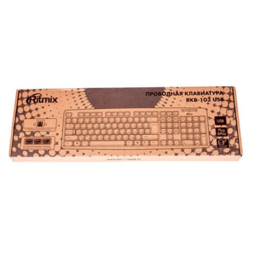 Клавиатура Ritmix RKB-103 USB фото 3