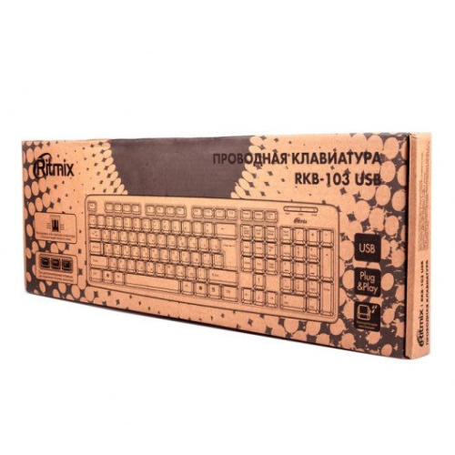 Клавиатура Ritmix RKB-103 USB фото 2